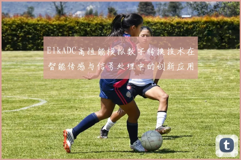 ElkADC高性能模拟数字转换技术在智能传感与信号处理中的创新应用研究