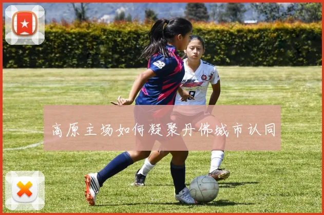 高原主场如何凝聚丹佛城市认同