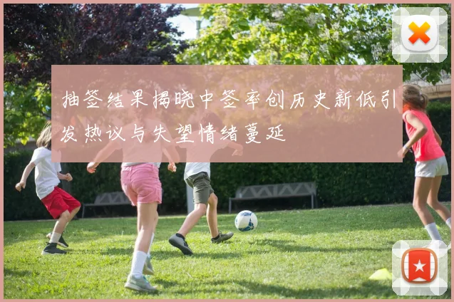 抽签结果揭晓中签率创历史新低引发热议与失望情绪蔓延