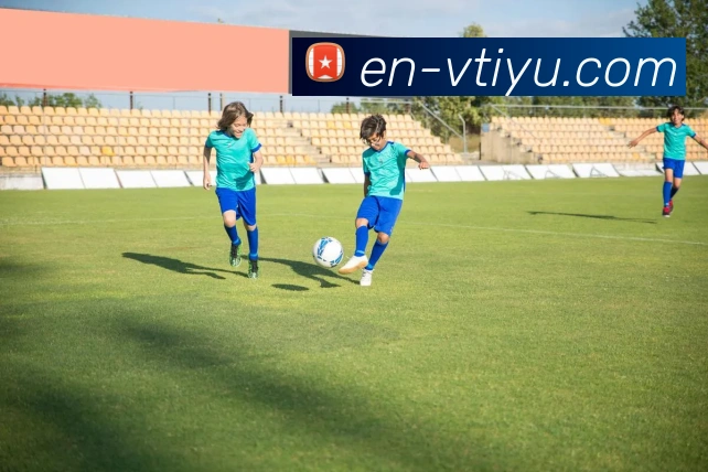 vtiyu全站App